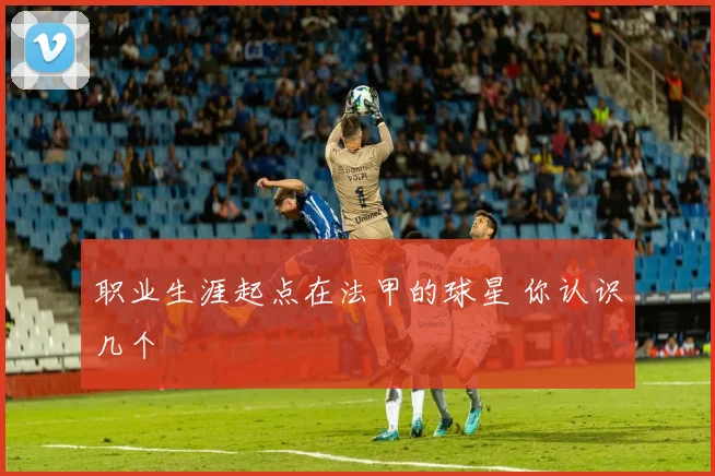 职业生涯起点在法甲的球星 你认识几个