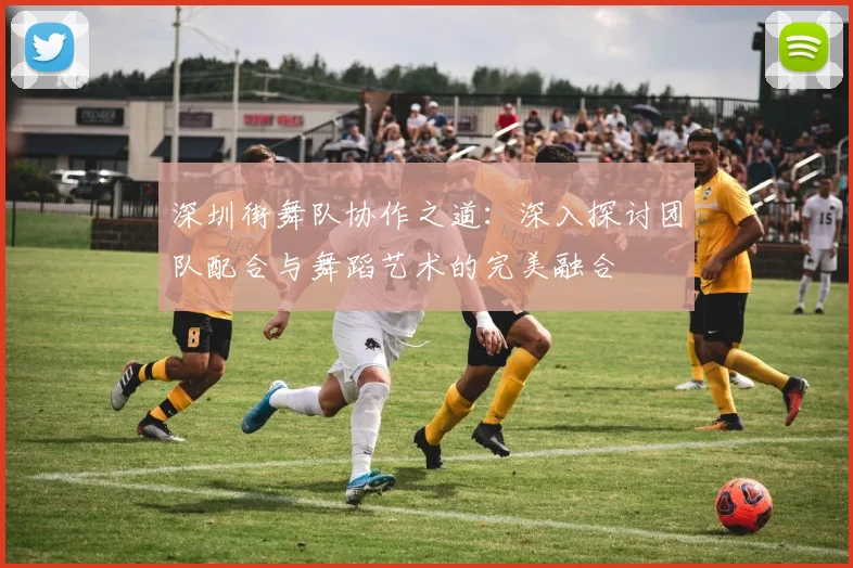 深圳街舞队协作之道：深入探讨团队配合与舞蹈艺术的完美融合