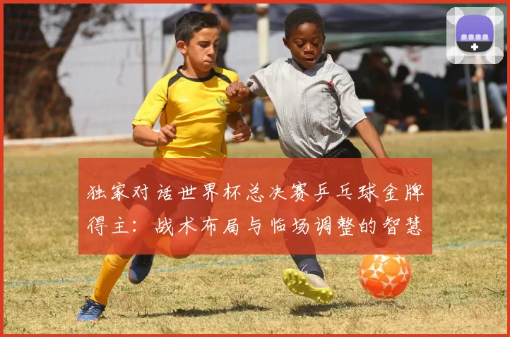 独家对话世界杯总决赛乒乓球金牌得主：战术布局与临场调整的智慧