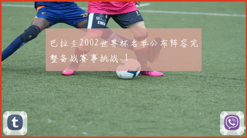 巴拉圭2002世界杯名单公布阵容完整备战赛事挑战_1